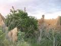 Restos de palomares en Villeza